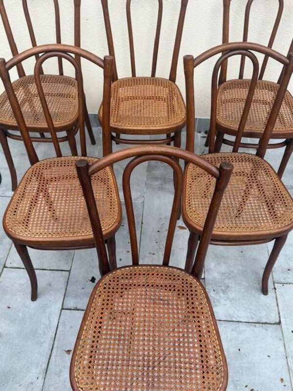 6 chaises thonet modèle 56 thonet