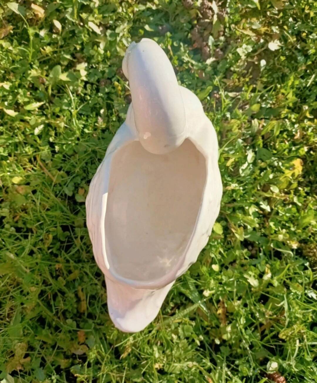 Swan Vase