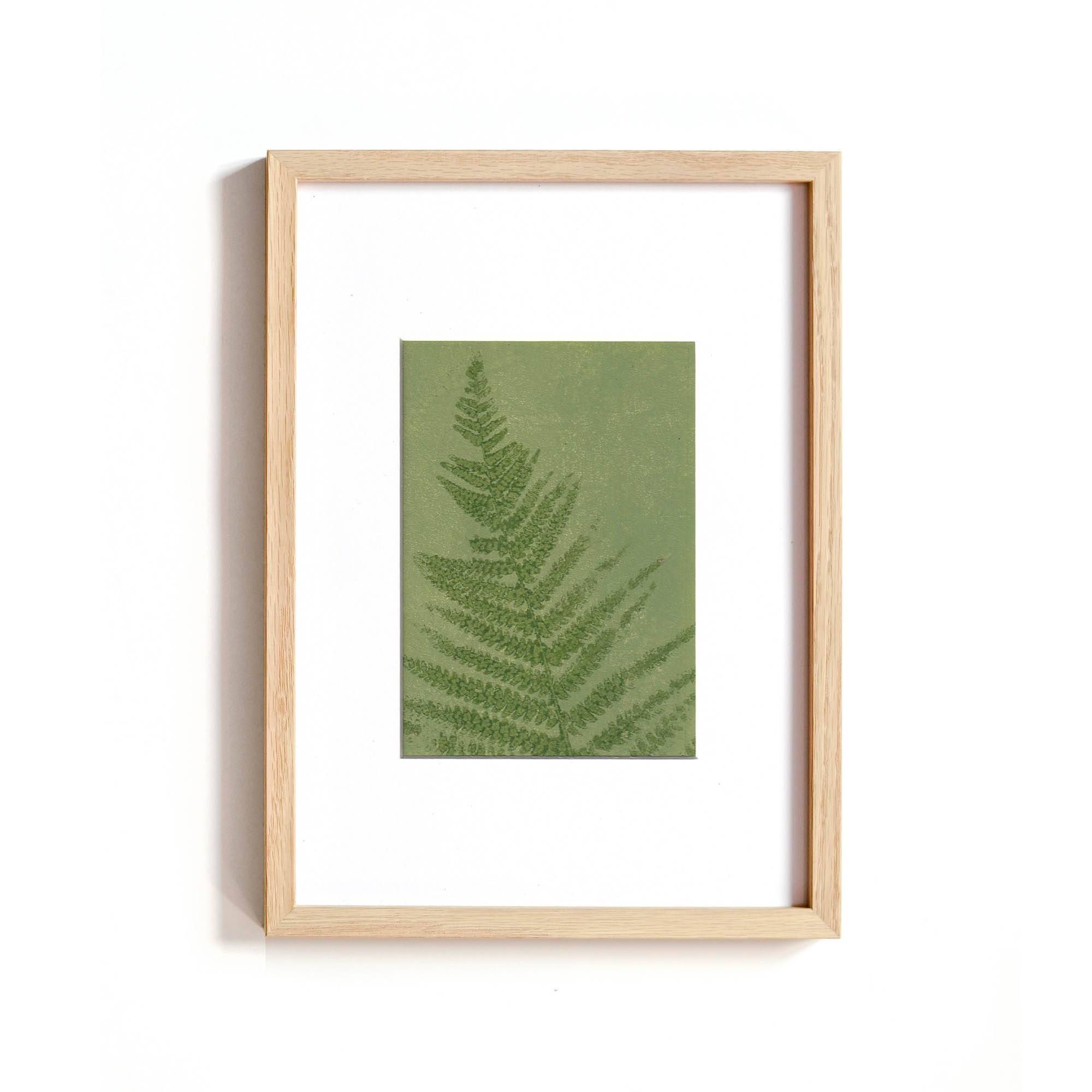 Painting on paper, herbarium and botanical series signed Eawy.