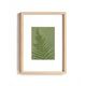 Painting on paper, herbarium and botanical series signed Eawy.