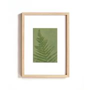 Peinture sur papier série herbier  et botanique signée Eawy