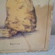 Affiche ancienne "Le lait" de Deyrolle