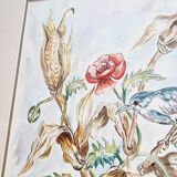 Aquarelle signée D.Desser oiseaux et fleurs