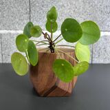 Ceramic flowerpot with wood decor