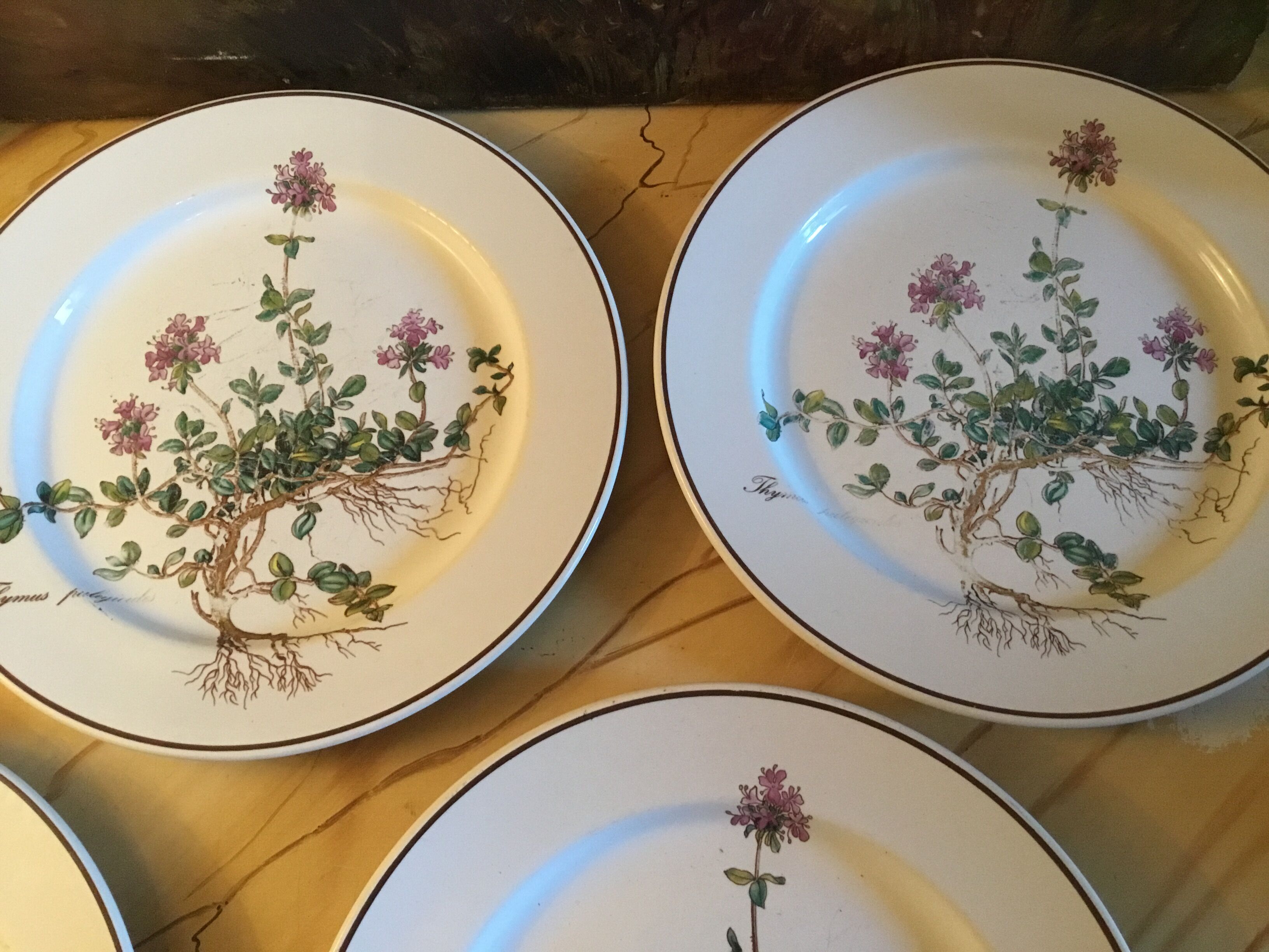 Botanica Villeroy Plates - Boch