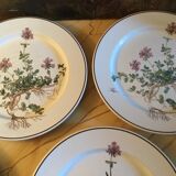 Botanica Villeroy Plates - Boch