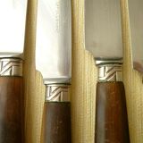 Set of 12 pretty Apollonox Horn bovine and stainless steel table knives