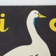 Reading image : the goose