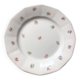 Digoin Sarreguemines plate
