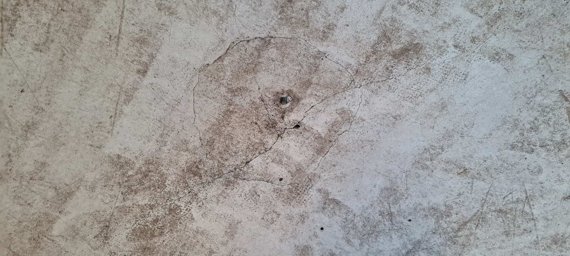 Vintage planter René Pechère - 150cm