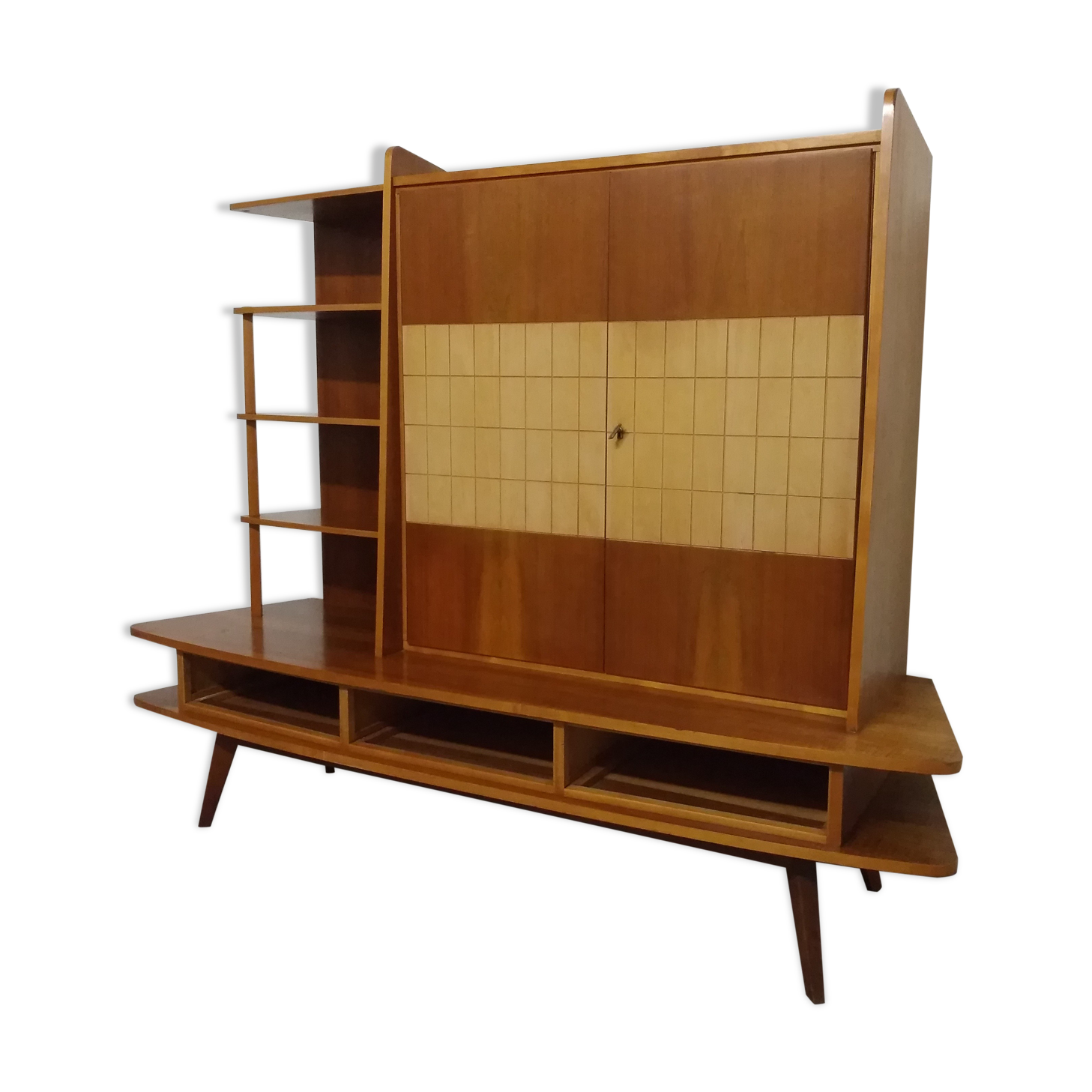 Furniture storage shelves library 50s