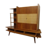 Furniture storage shelves library 50s