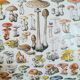 Lithograph on mushrooms from 1928 "amanita"