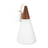 Vintage Philips hanging lamp 1960