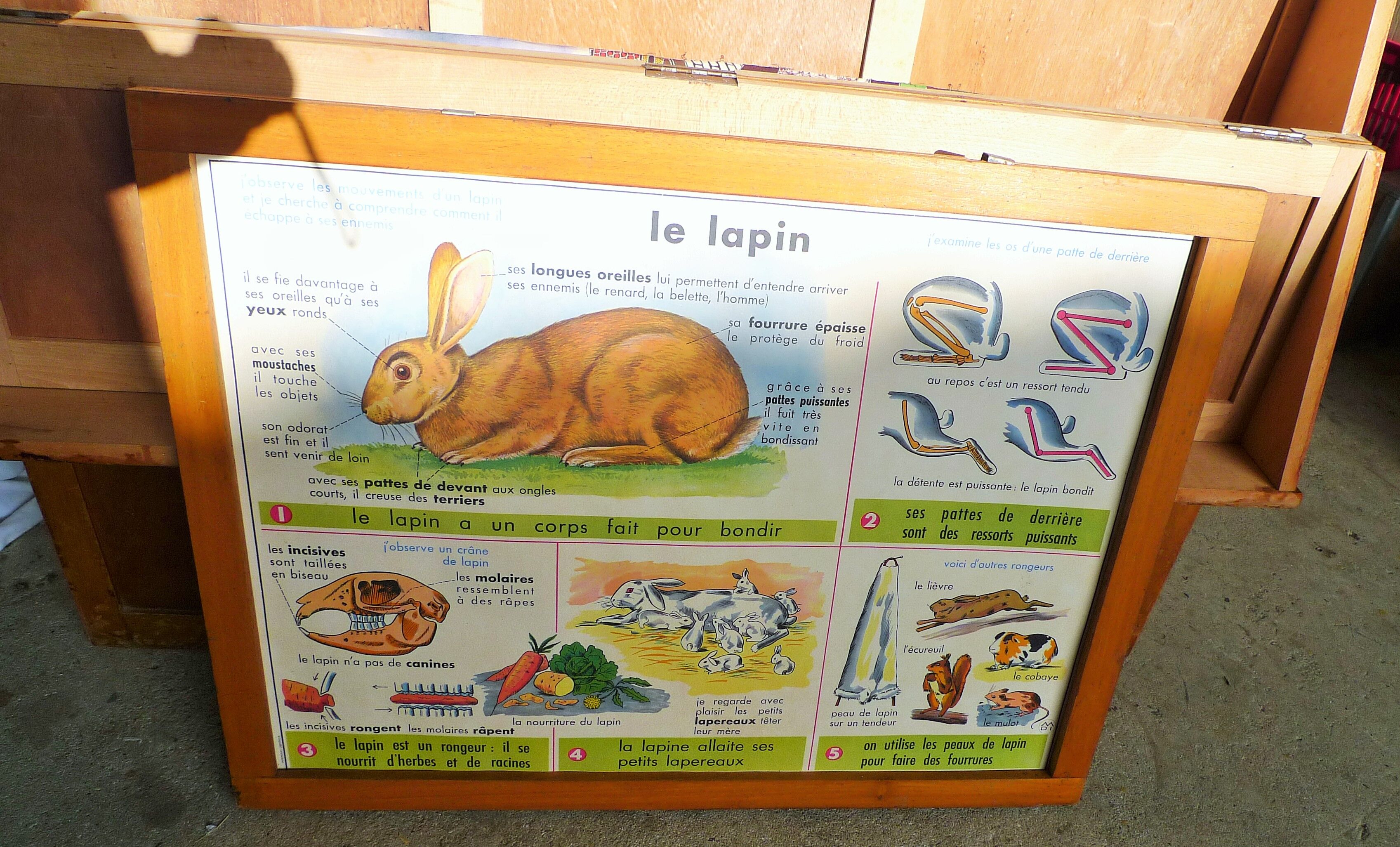 Storage cabinet for school map