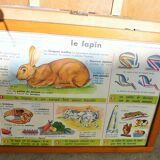 Storage cabinet for school map