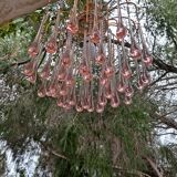 Waterfall Chandelier Murano Paolo Venini