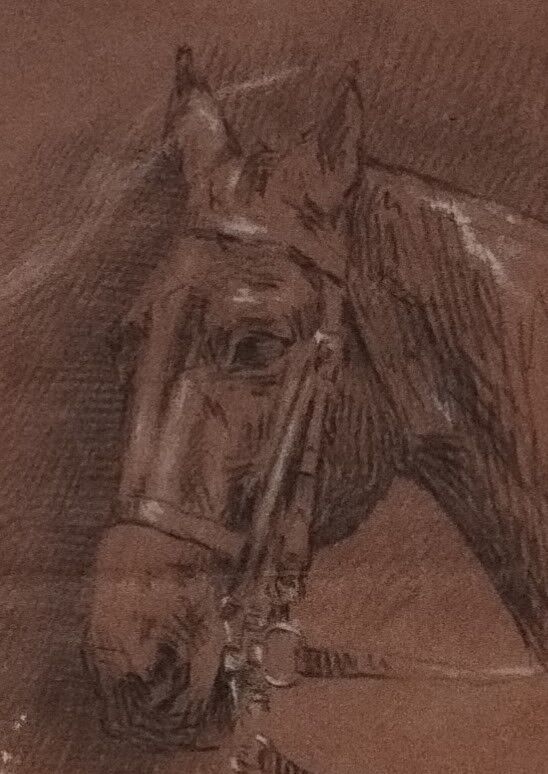 Painting, sketch on the theme of the horse, Pencil on XX th paper.