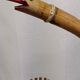 Bamboo snake