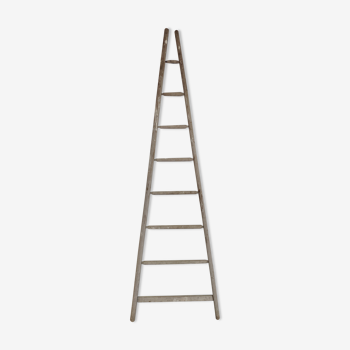 Old fruit tree ladder Etablissements Masson Chateaubriand 2.40m