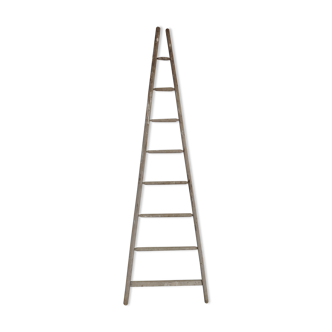 Old fruit tree ladder Etablissements Masson Chateaubriand 2.40m
