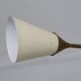 Sputnik chandelier in the Stilnovo style, 1950s.