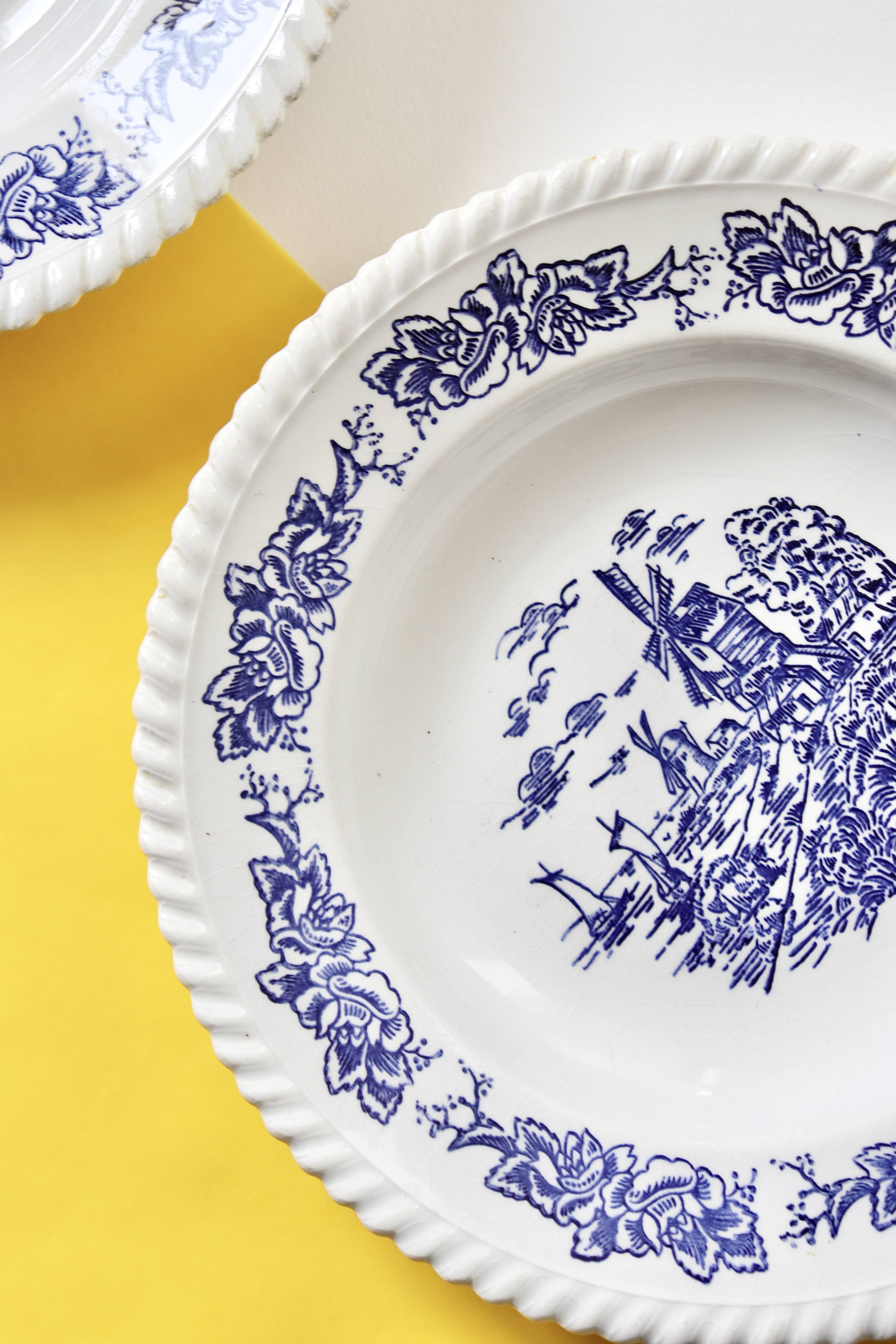 16 illustrated plates