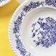 16 illustrated plates