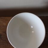 Old standing bowl pink red blue foliage