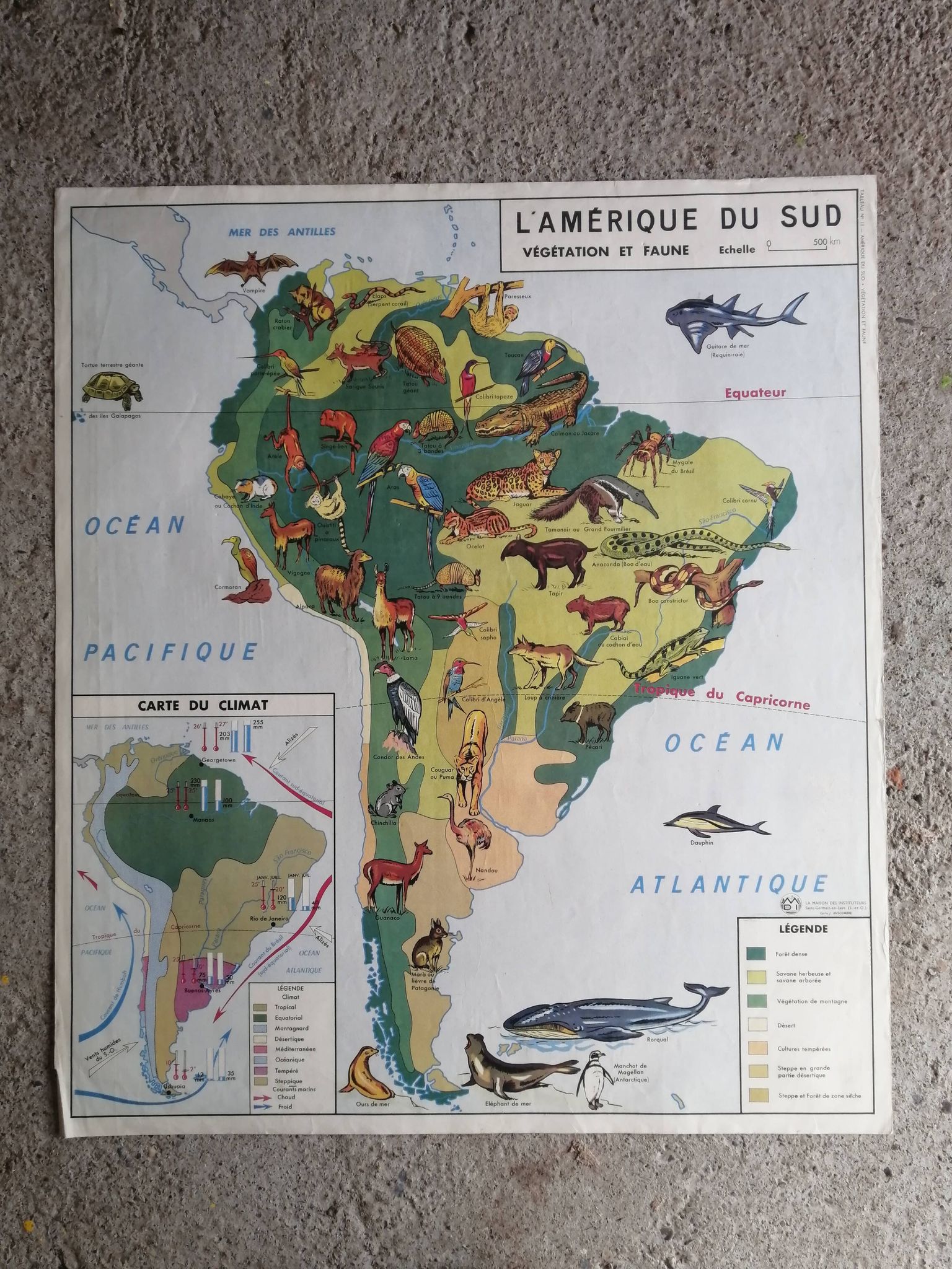 MDI school map: SOUTH AMERICA - OCEANIA fauna vegetation.