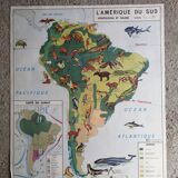 MDI school map: SOUTH AMERICA - OCEANIA fauna vegetation.