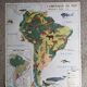 MDI school map: SOUTH AMERICA - OCEANIA fauna vegetation.