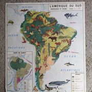 MDI school map: SOUTH AMERICA - OCEANIA fauna vegetation.