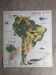MDI school map: SOUTH AMERICA - OCEANIA fauna vegetation.