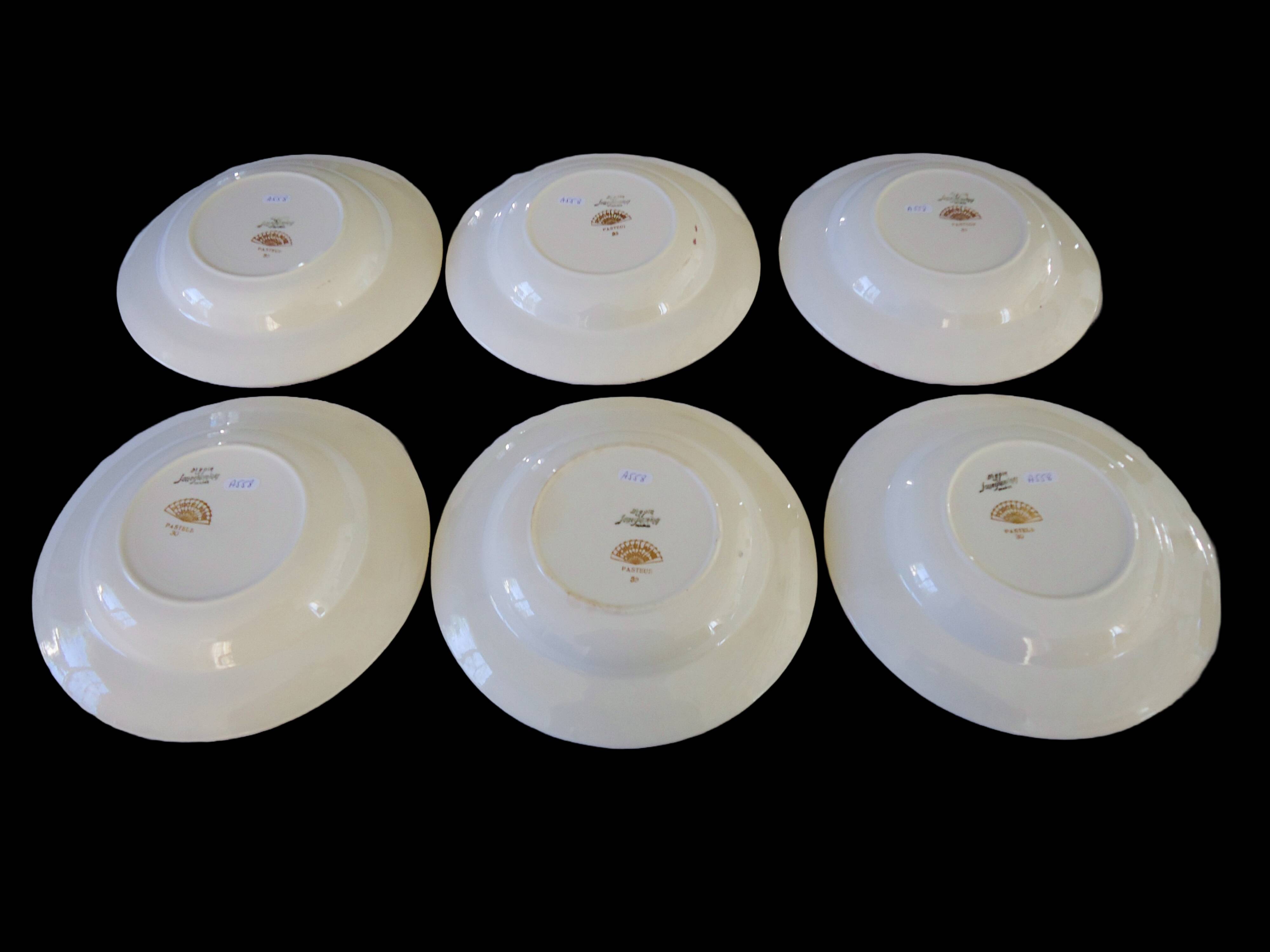 Assiettes creuses porcelaine opaque digoin sarreguemines modèle pasteur
