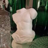 Plaster cast of Gaddi bust