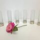 Set of Six Bohemian Ground Crystal and Silver Drinking Glasses