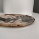Very large empty pocket or petrified wooden flat