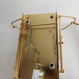 Pair of Murano glass flower wall light