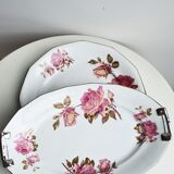 Plats roses