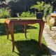 Coffee table exotic wood and glass 50s