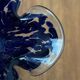 Vintage Murano glass flower vase