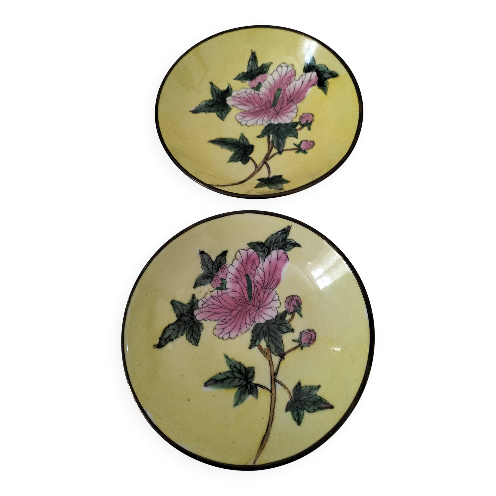 Pair of vintage Chinese decorative plates with floral decoration on a yellow background