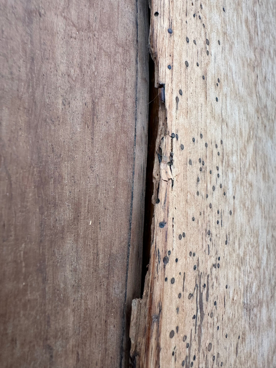 Antique Louis XV style sloped desk