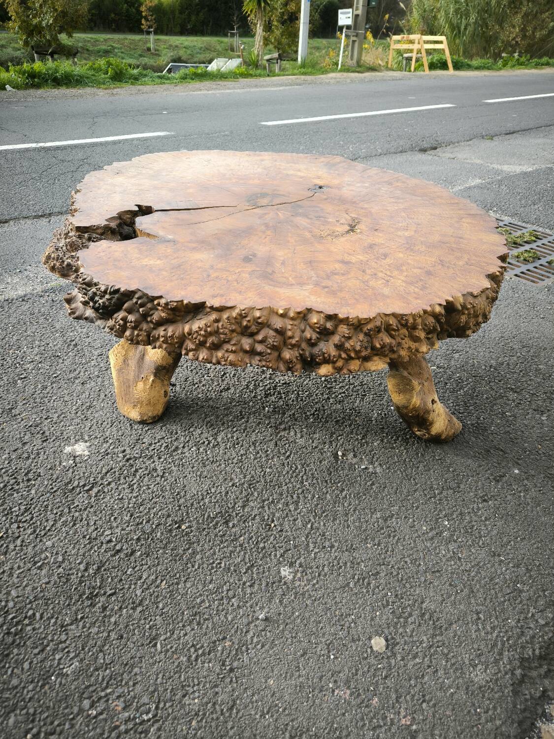 Brutalist coffee table in solid elm burl 108 cm diameter