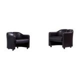 Eugenio Gerli two lounge chair from the 142 Tecno 1960 series