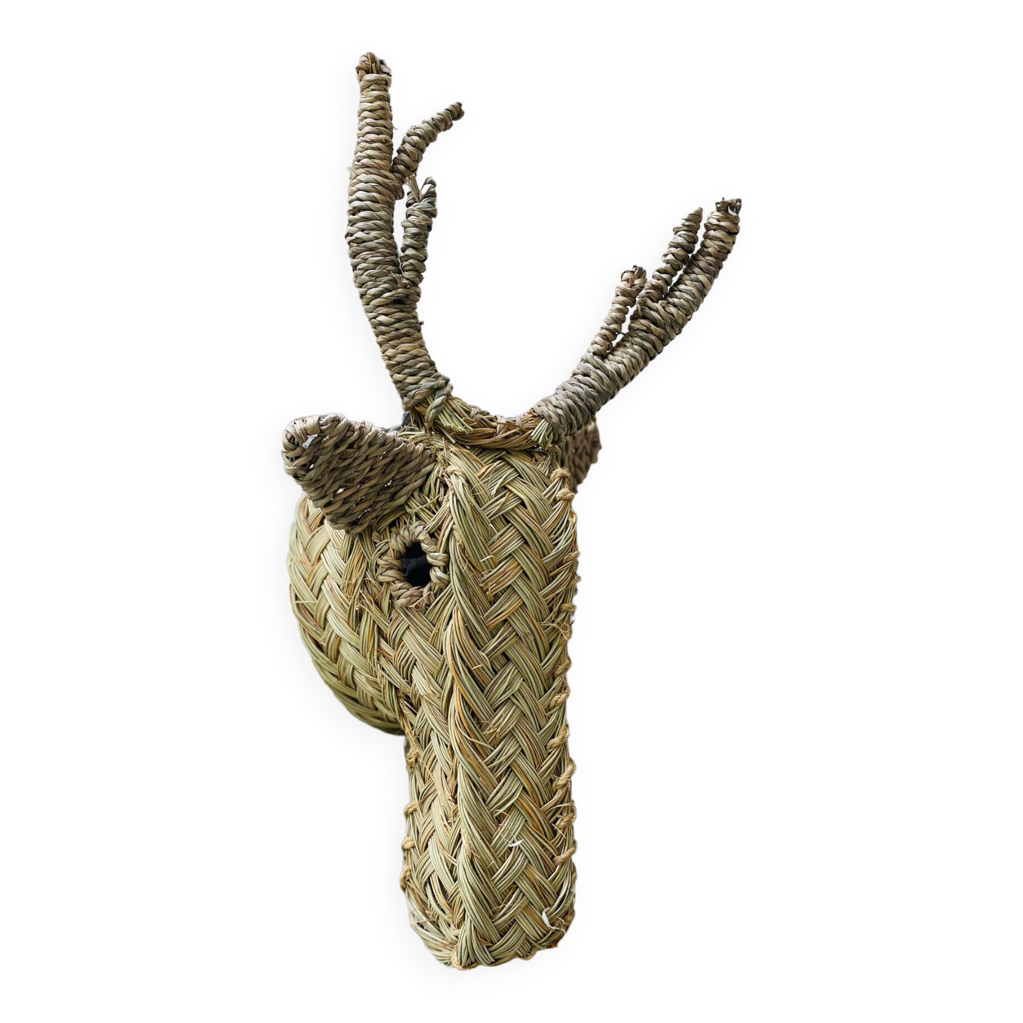 Trophy animal head in palm leaves - deer