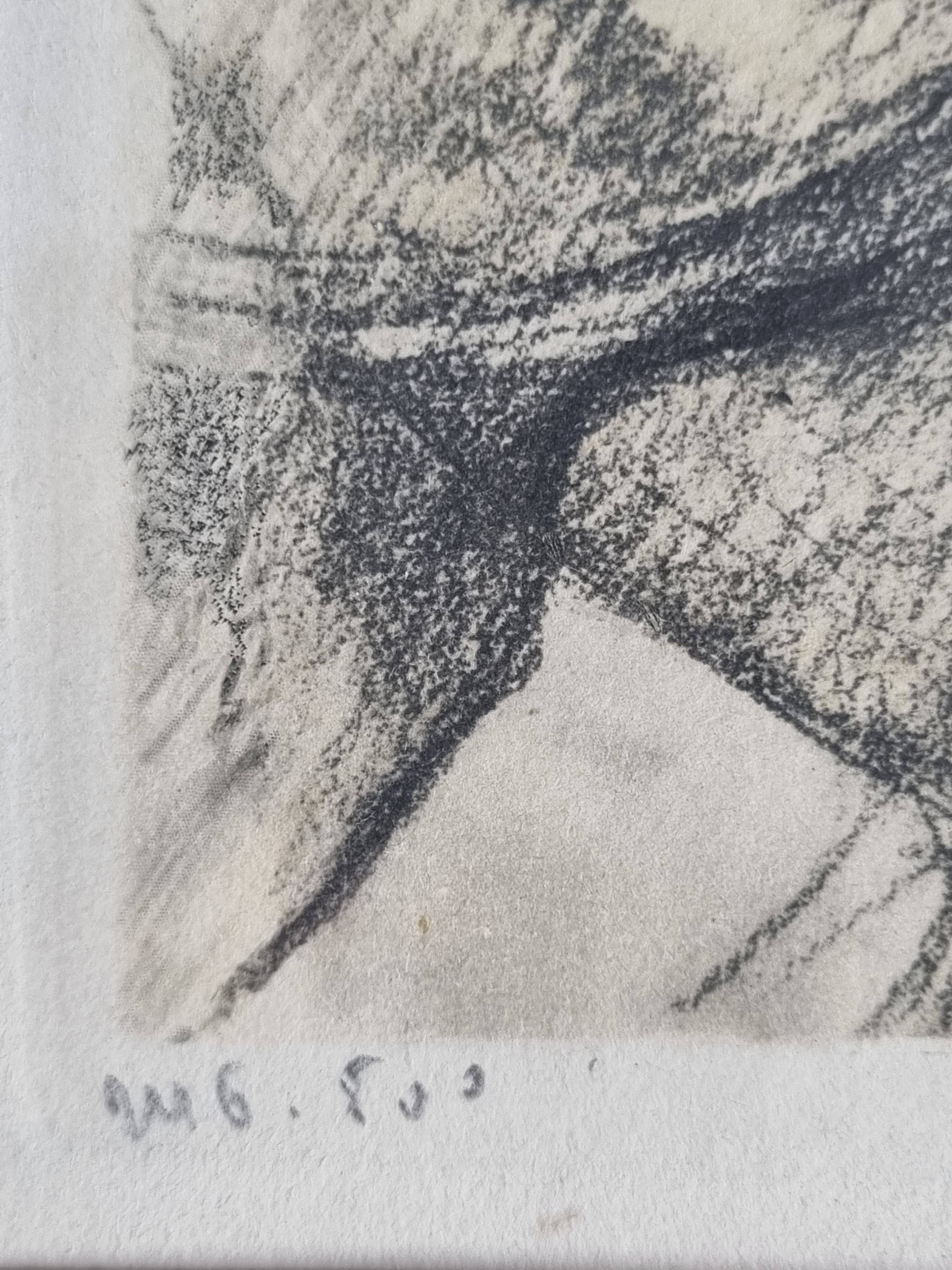 Numbered lithograph after Toulouse-Lautrec - "Panel Work Through a Hoop", 1952
