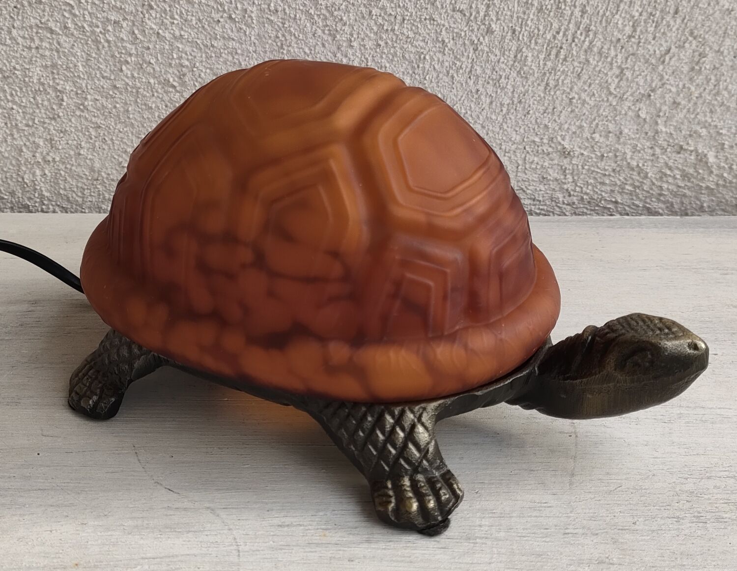 Night light turtle to pose