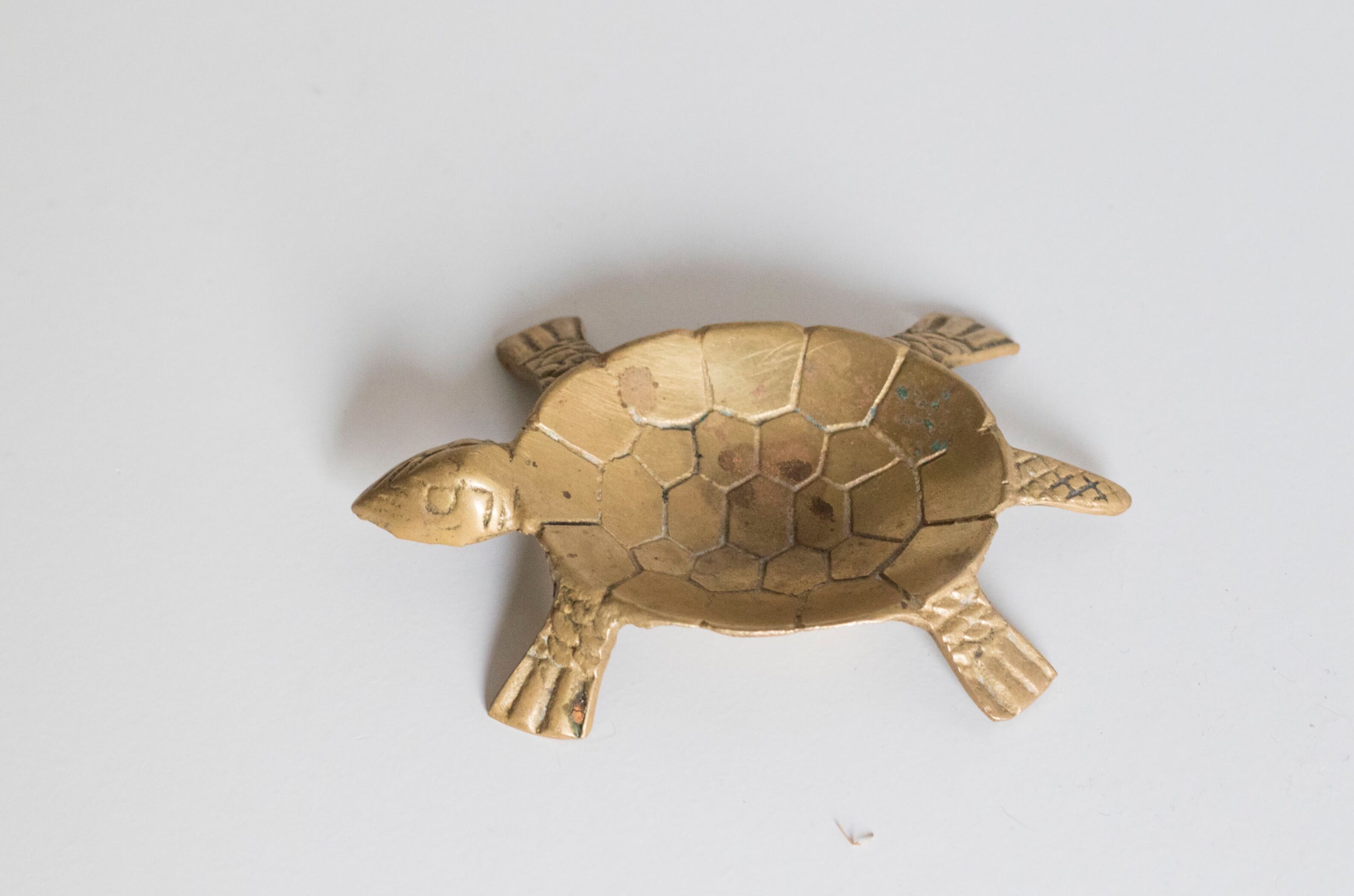Ashtray / empty turtle brass pockets